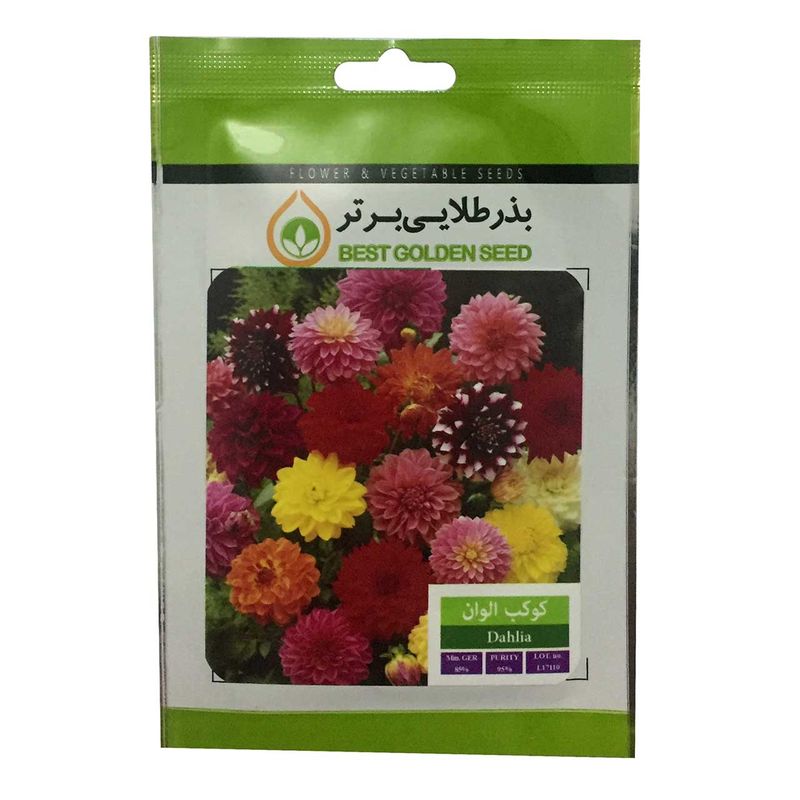 بذر گل کوکب الوان بذر طلایی برتر کد bzt 26