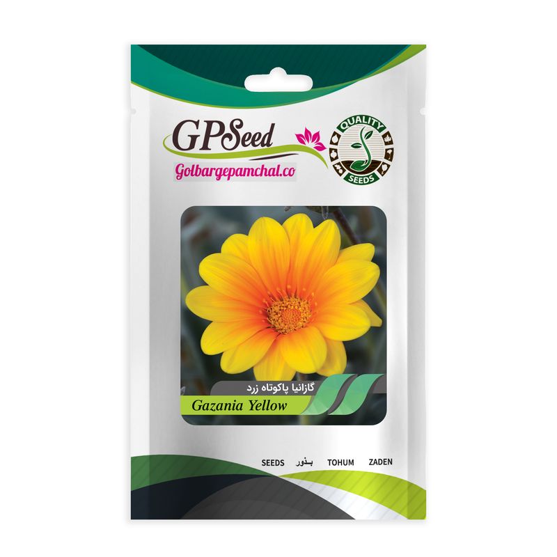 بذر گل گازانیا پاکوتاه زرد گلبرگ پامچال کد gpf 260