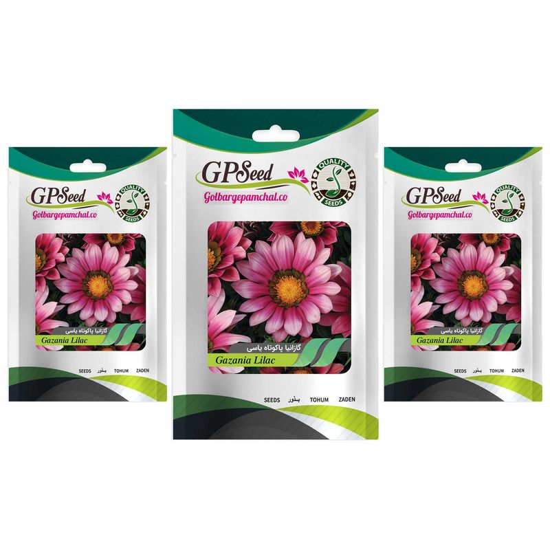 بذر گل گازانیا پاکوتاه یاسی گلدانی گلبرگ پامچال کد gpf 262 مجموعه 3 عددی