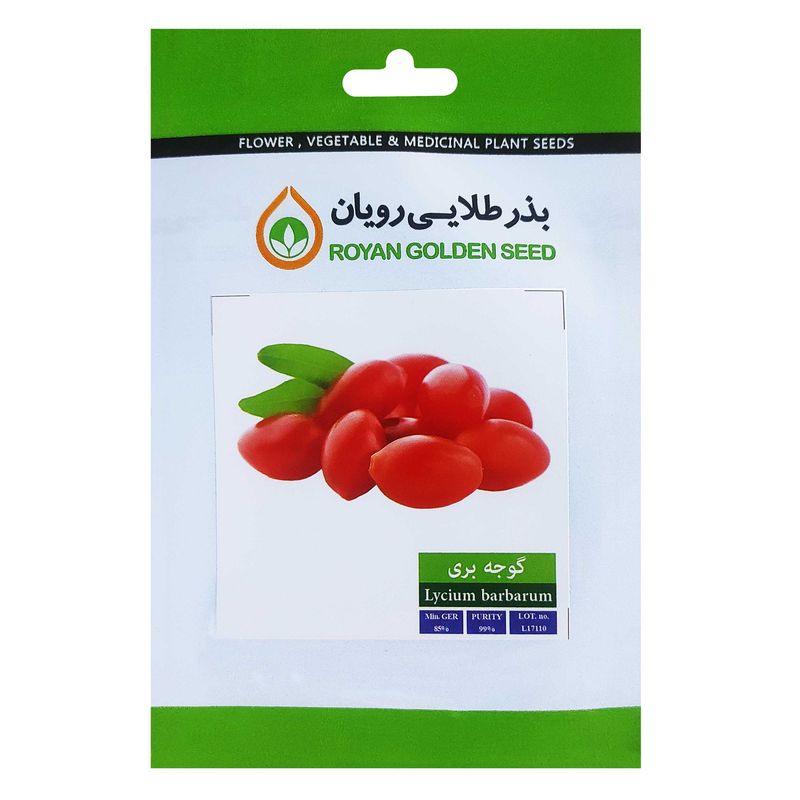 بذر گوجه بری بذر طلایی رویان کد bzt 160