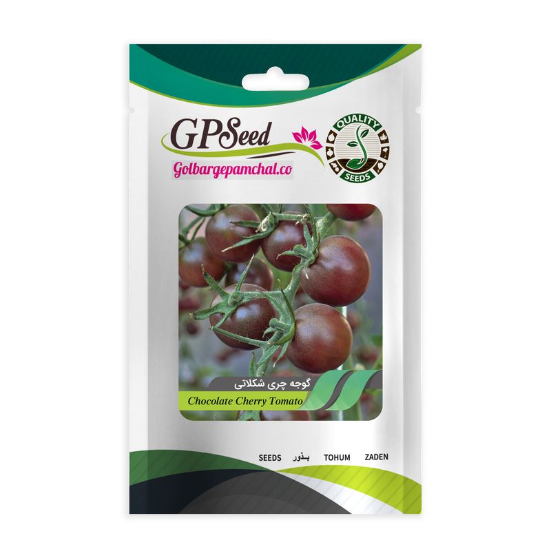 بذر گوجه شکلاتی گلبرگ پامچال کد gpf 204