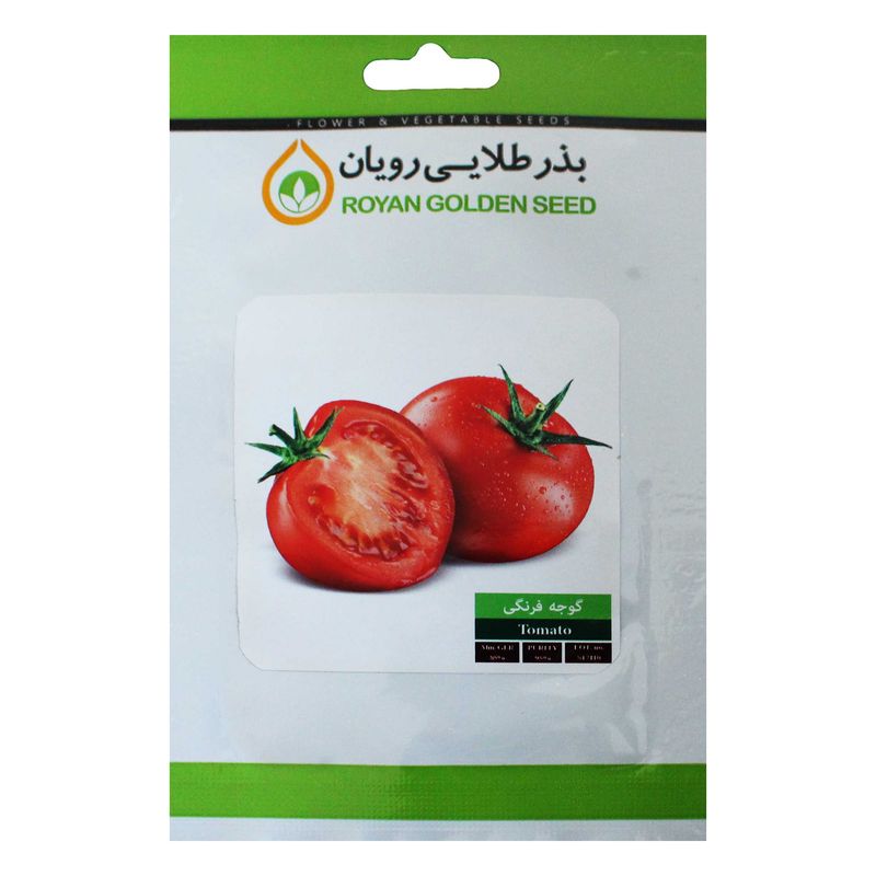 بذر گوجه فرنگی بذر طلایی رویان مدل bztr 076