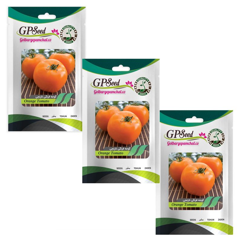 بذر گوجه فرنگی نارنجی گلبرگ پامچال کد gpf 287 مجموعه 3 عددی