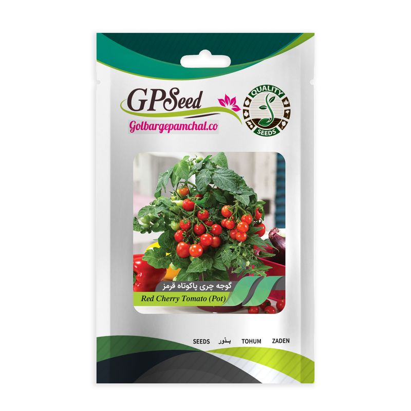 بذر گوجه چری پا کوتاه پربار قرمز گلدانی گلبرگ پامچال کد gpf 299