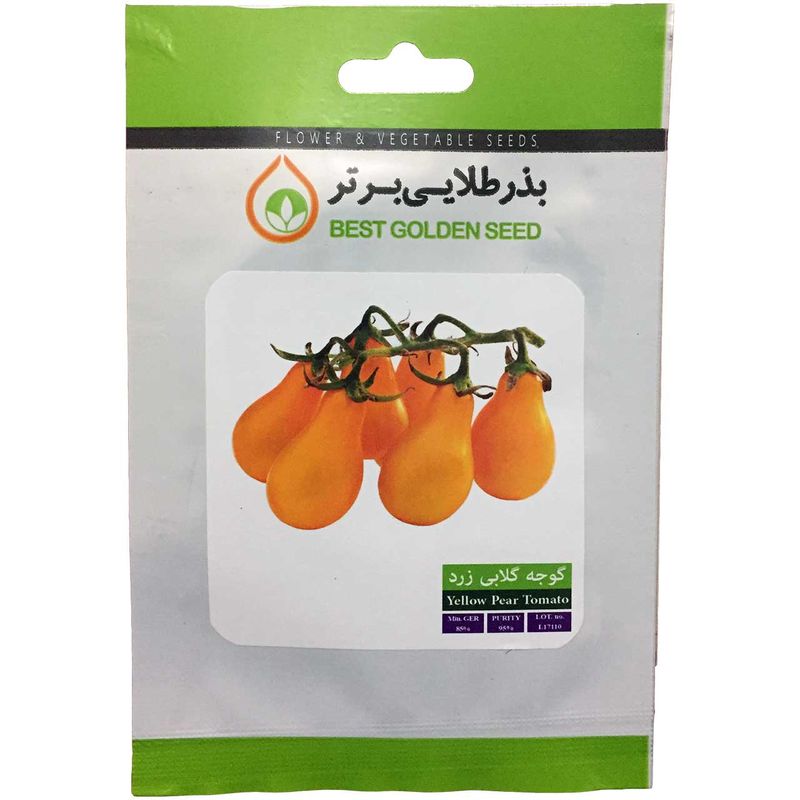 بذر گوجه گلابی زرد بذر طلایی برتر کد bzt 103