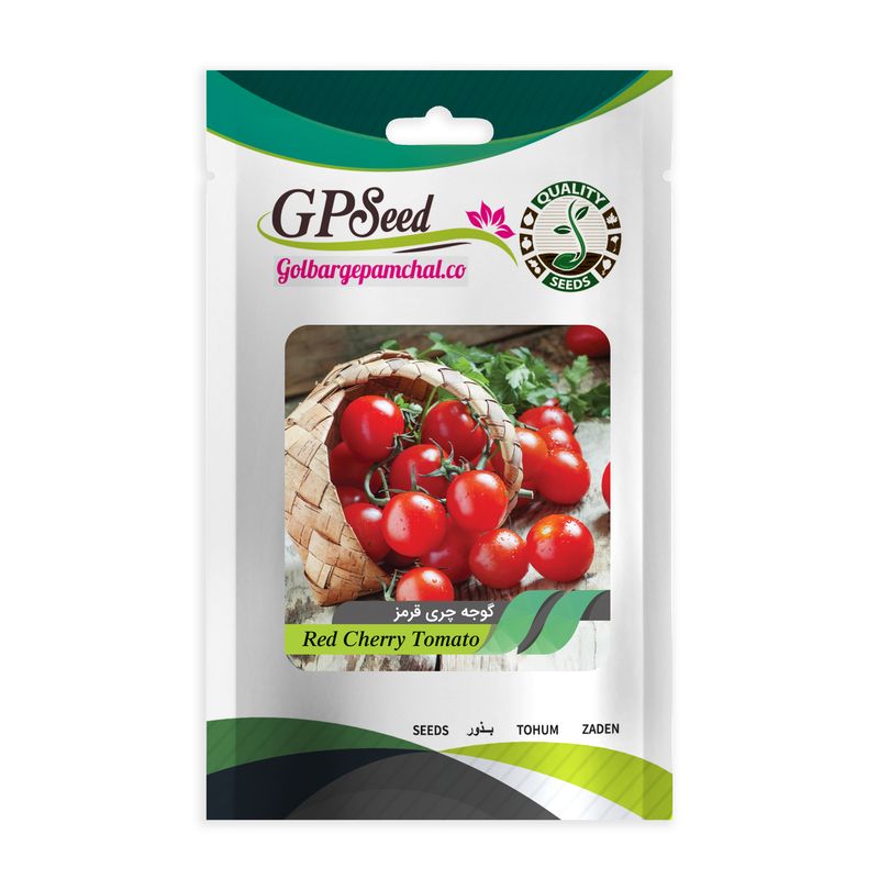 بذر گوجه گیلاسی پر بار گلدانی گلبرگ پامچال کد gpf 163
