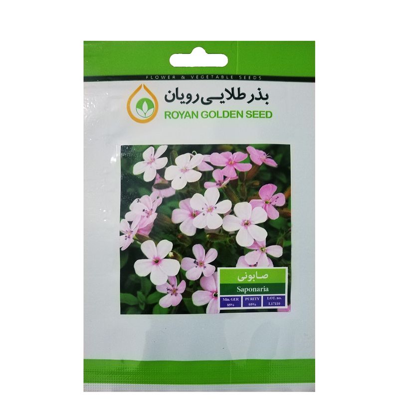 بذر گیاه دارویی صابونی بذر طلایی رویان کد bzt 110