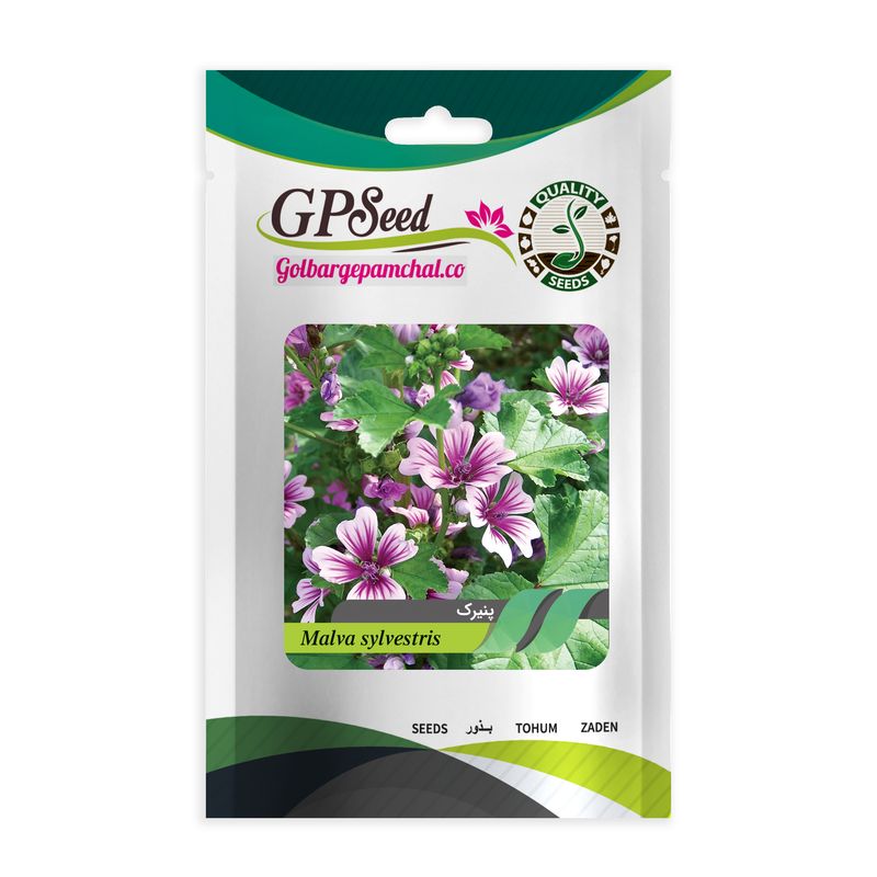 بذر گیاه دارویی پنیرک گلبرگ پامچال کد gpf 309