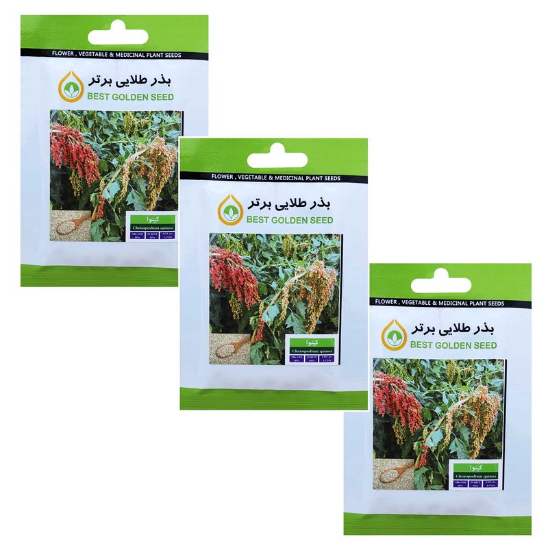بذر گیاه دارویی کینوا بذر طلایی برتر کد btb 104 مجموعه 3 عددی
