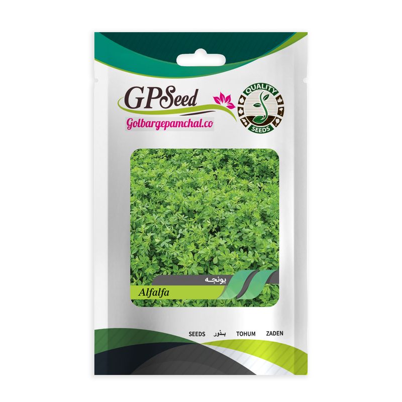 بذر یونجه گلبرگ پامچال کد gpf 209