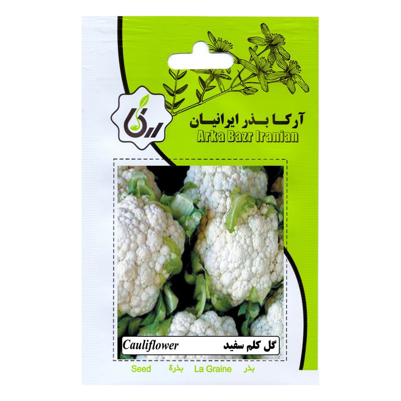 بذرگل کلم سفید آرکا بذر ایرانیان مدل b84