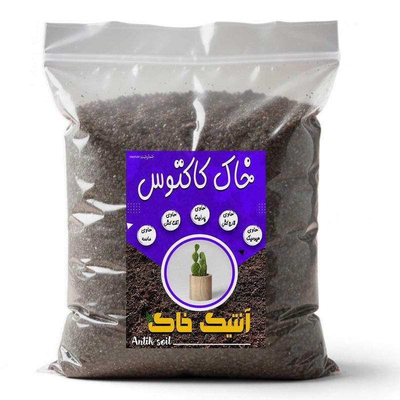 خاک کاکتوس آنتیک خاک مدل 4tr وزن 2 کیلوگرم