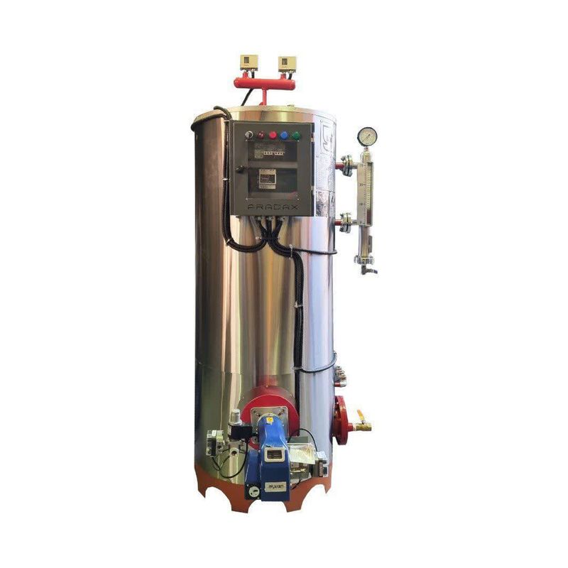دیگ بخار 6 اسب بخار آراداکس مدل ax hsb100