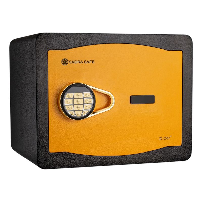 صندوق الکترونیکی صدراسیف مدل 30crh plus وزن 17 کیلوگرم