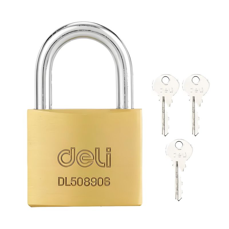 قفل آویز دلی مدل dl508906