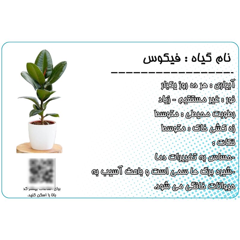 ماکت تزیینی مدل اتیکت pvc ضد آب معرفی گیاه (فیکوس) مجموعه ۵ عددی