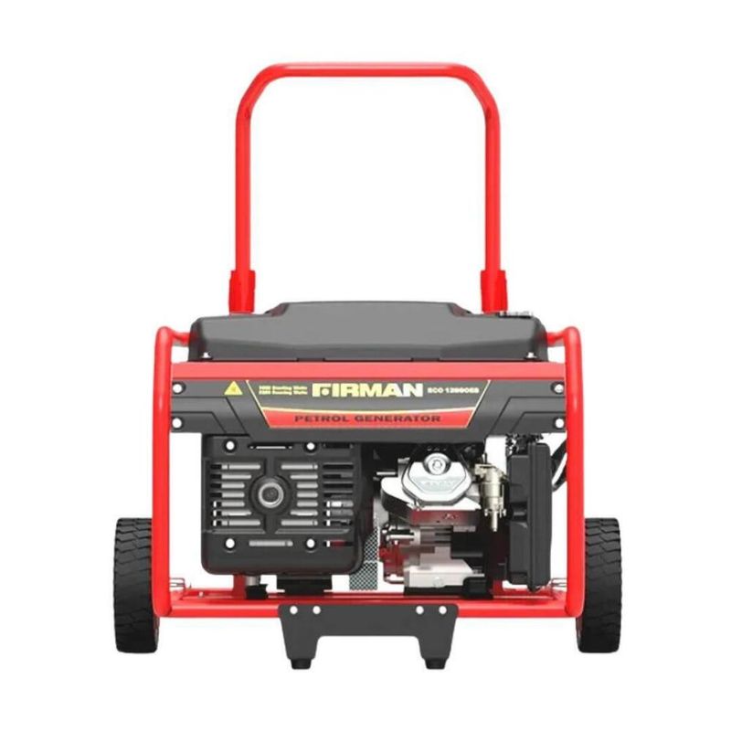 موتور برق بنزینی 18 اسب بخار فیرمن مدل eco12990es
