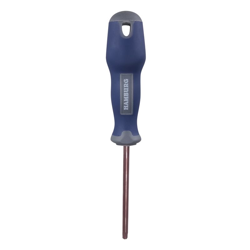پیچ گوشتی ستاره ای هامبورگ مدل ham  t10 s2