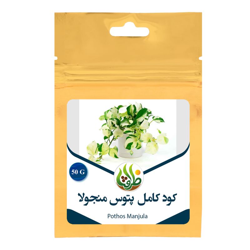 کود تقویتی مخصوص پتوس منجولا ( مانجولا ) ظرافت مدل ko21583 وزن 50 گرم