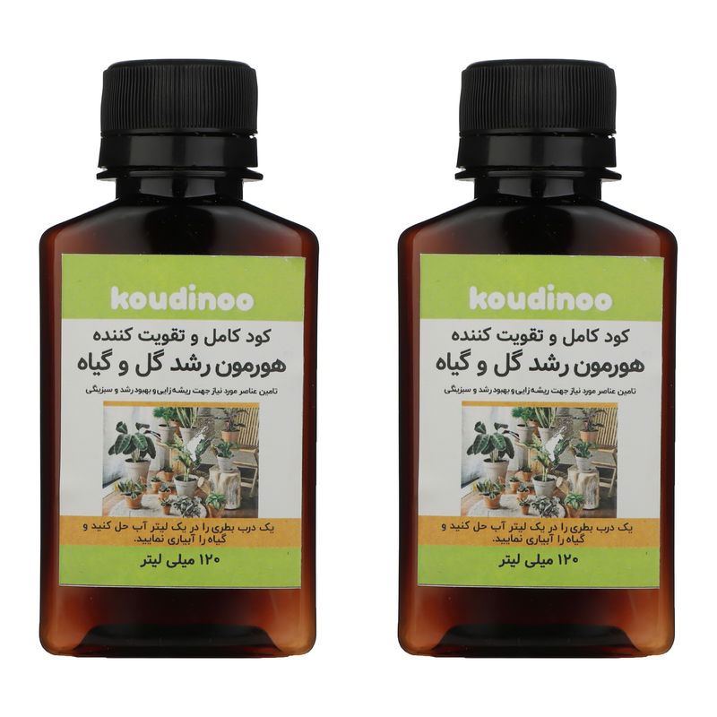 کود کامل و تقویت کننده هورمون رشد گل و گیاه کودینو مدل k 20 حجم 120 میلی لیتر بسته 2 عددی