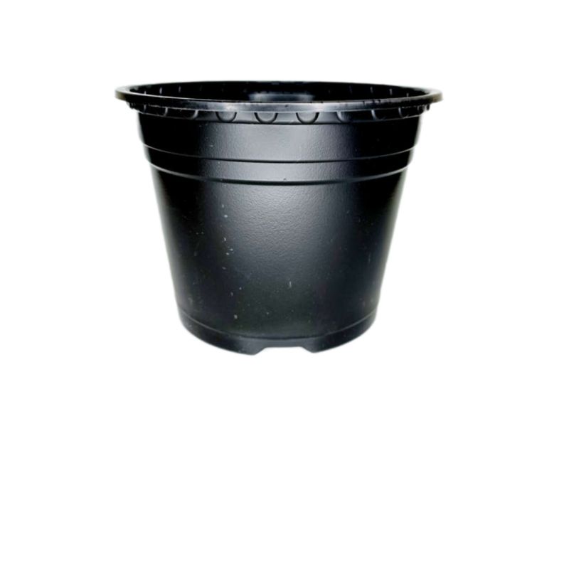 گلدان طرح ژله ای مدل a 19 بسته 10 عددی