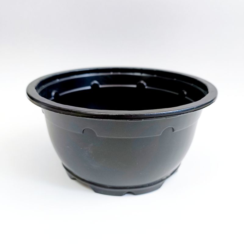گلدان مدل ژله ای کاسه مجموعه 10عددی