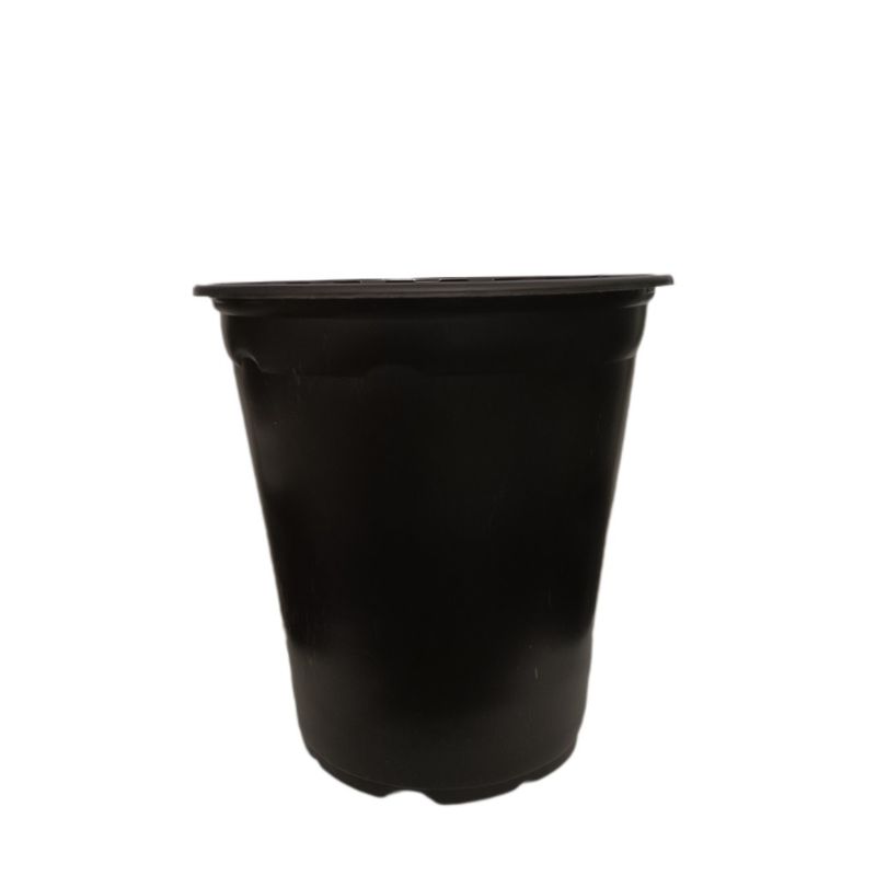 گلدان مدل ژله ای کد a 21 بسته 10 عددی