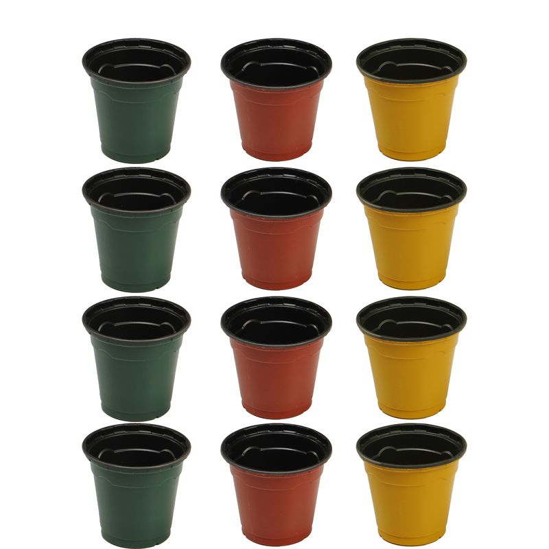 گلدان ژله ای کد 6 20 مجموعه 12 عددی