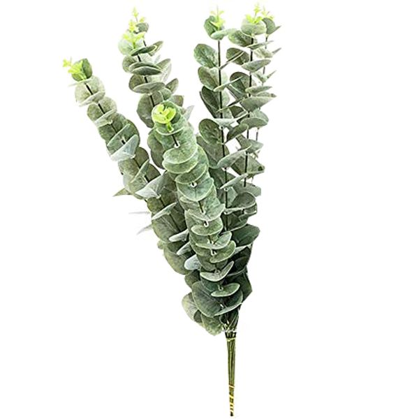 گیاه طبیعی اکالیپتوس مدل f 23 مجموعه 6 عددی