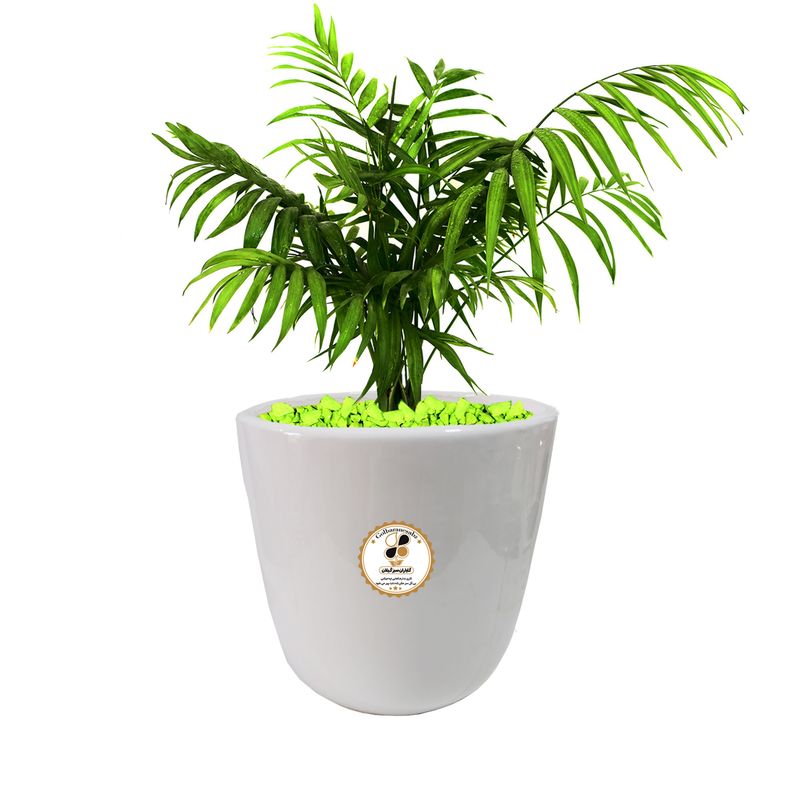 گیاه طبیعی شامادورا شرکت گلباران سبز گیلان مدل gn13 22l